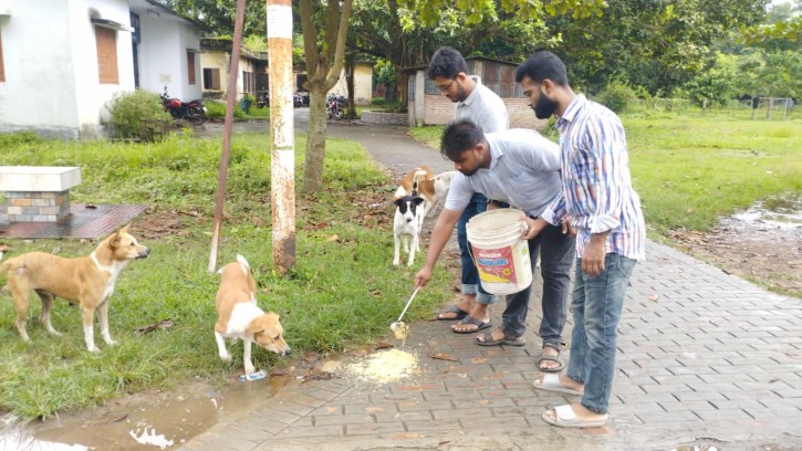 ফাঁকা ক্যাম্পাসে পশুপাখিদের পাশে রাবির 'ঐক্যবদ্ধ নতুন প্রজন্ম' প্যানেলের প্রার্থীরা