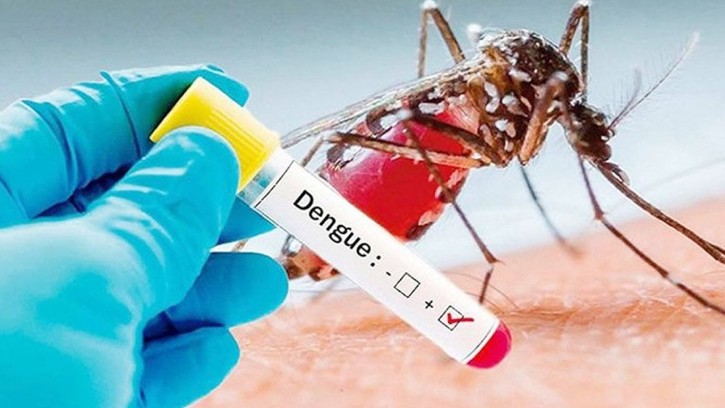ডেঙ্গুতে আক্রান্ত হয়ে হাসপাতালে ভর্তি ৩৮২