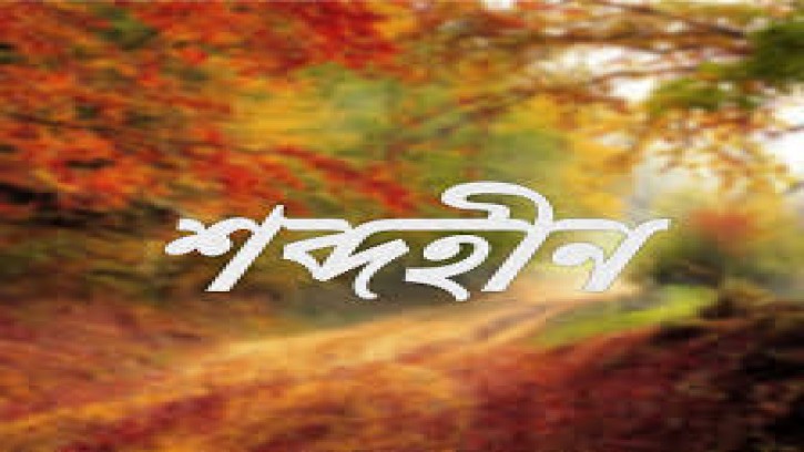  শব্দহীন বিবরণ